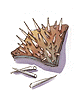Porcupine Quill