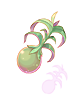 Underripe Yggseed