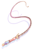 Queen's Whip