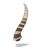 Antelope Horn