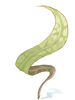 Soft Blade of Grass