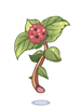 Poison Herb Rantana