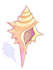 Conch
